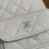 Chanel | Mini Backpack 24P