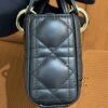 Dior | Lady Dior D-Joy Micro