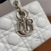 Dior | D Joy Small