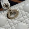 Dior | D Joy Small