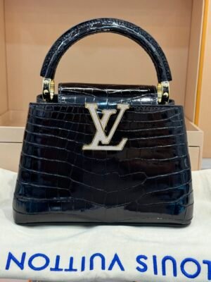 Pre-Owned/ Preloved/ Second Hand Louis Vuitton (LV) Rare Diamond Mini Capucines Alligator, Bag in Black, Gold Hardware Color, Mini Size, Front View