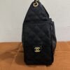 Chanel | Chanel 25 Cavair