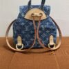 Louis Vuitton (LV) | Denim Venice Backpack