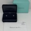 Tiffany | Diamond Heart Earrings