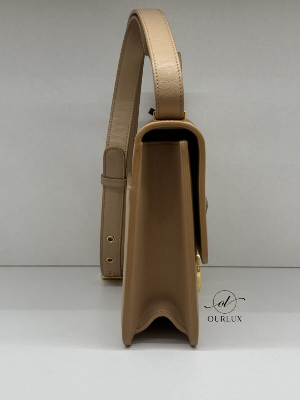 Dior | Montaigne Oblique 30 Calf Leather