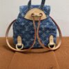 Louis Vuitton (LV) | Denim Venice Backpack