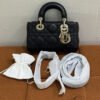 Dior | Lady Dior D-Joy Micro