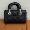 Dior | Lady Dior D-Joy Micro
