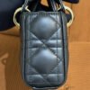 Dior | Lady Dior D-Joy Micro