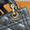 Dior | Lady Dior D-Joy Micro