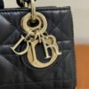 Dior | Lady Dior D-Joy Micro