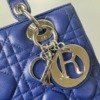 b202513512-dior-medium-lady-dior-lambskin-5 Dior | Medium Lady Dior Lambskin