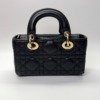 Dior | Micro Lady D-Joy Dual Strap