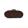 Louis Vuitton (LV) | Vanity Chain Pouch