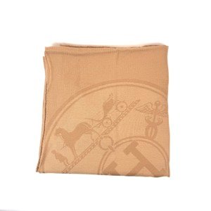 Pre-Owned/ Pre-Loved/ Second-Hand Hermes Cashmere Shawl , Others in Brown Color,  Size, Front View
