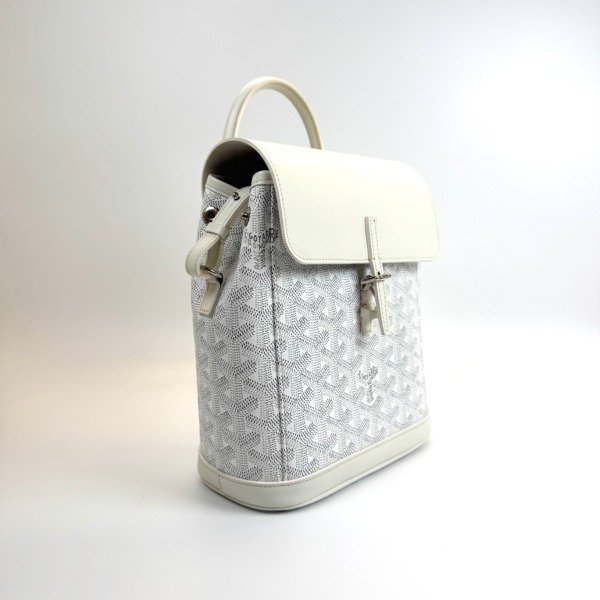 Goyard | Aplin Mini Backpack