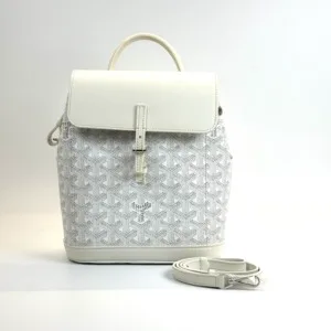 Pre-Owned/ Pre-Loved/ Second-Hand Goyard Aplin Mini Backpack, Bag in White, Silver Hardware Color, 20 x 21 x 9 cm Size, Front View