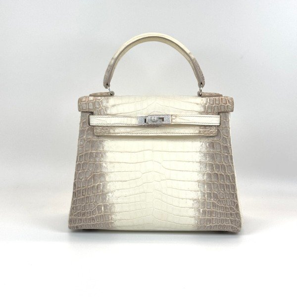 c2026061073-hermes-diamond-himalayan-kelly-25 Pre-Owned/ Pre-Loved/ Second-Hand Hermes Diamond Himalayan Kelly 25, Bag in Himalayan Niloticus Crocodile Color, 25cm Size, Front View