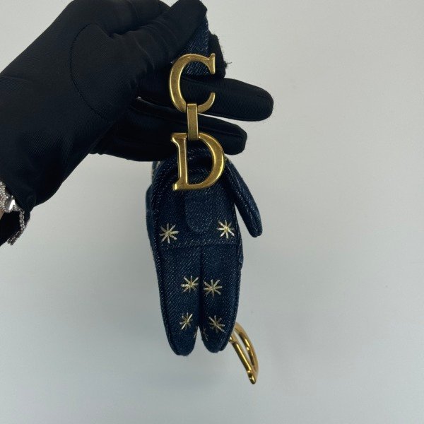 Dior | Micro Saddle Limited Edition