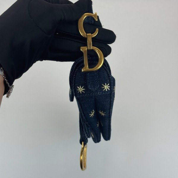 Dior | Micro Saddle Limited Edition