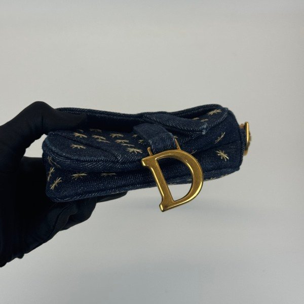 Dior | Micro Saddle Limited Edition