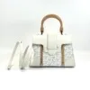 c2026141032-goyard-saigon-structure-mini Pre-Owned/ Pre-Loved/ Second-Hand Goyard Saigon Structure Mini, Bag in White Color, 20 x 15 x 7.5 cm Size, Front View