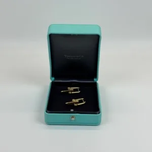 Pre-Owned/ Pre-Loved/ Second-Hand Tiffany & Co. Hardwear Link Earrings, Earring in Yellow Gold Color,  Size, Front View