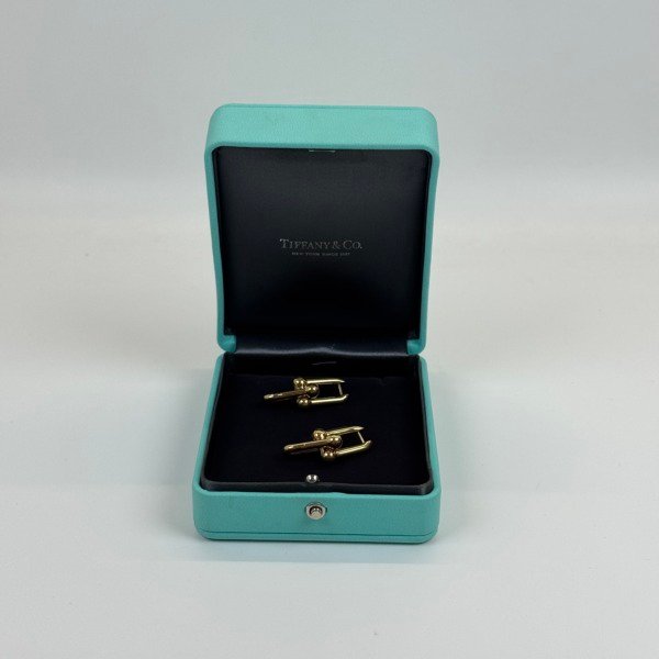 Pre-Owned/ Pre-Loved/ Second-Hand Tiffany & Co. Hardwear Link Earrings, Earring in Yellow Gold Color,  Size, Front View