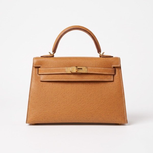 c2026061197-hermes-mini-kelly-ii-20-veau-porc Pre-Owned/ Pre-Loved/ Second-Hand Hermes Mini Kelly II 20 Veau Porc, Bag in Toffee, Gold Hardwarw Color, 20cm Size, Front View